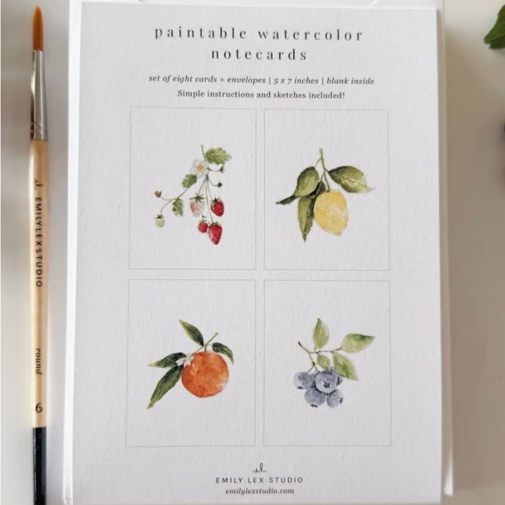 New Emily Lex Studio Watercolor Fruit Notecards - Fruit Set